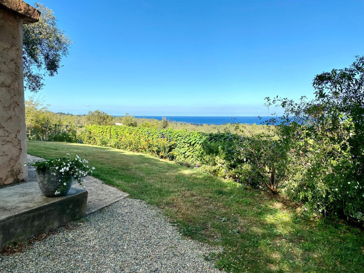 Villa panorama maquis et mer, plage à 1,5 Km Cervione Esterno foto